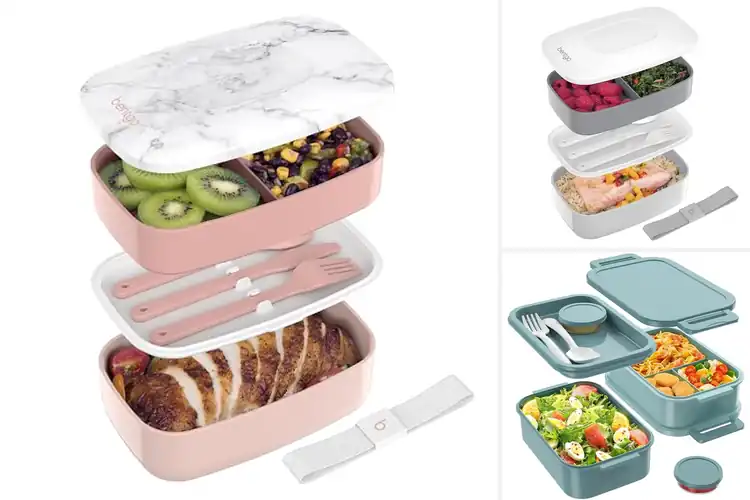 Detailed view of Best All-In-One Bento Boxes