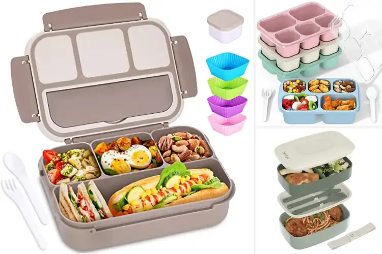 Detailed view of Best Bento Boxes: Top 10 Picks for Perfect Meal Prep