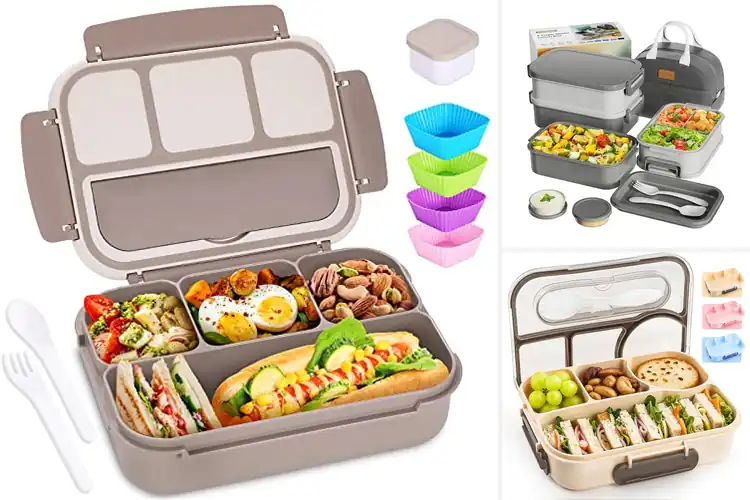 Detailed view of Best Bento Lunch Boxes For Adults