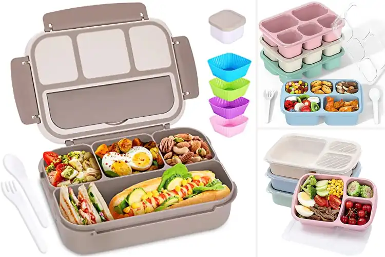 Detailed view of Best Bento Lunch Boxes