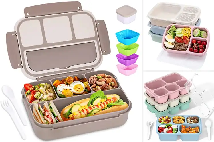 Detailed view of Best Compartment Lunch Boxes