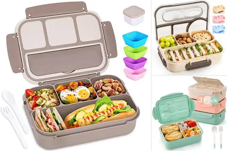 Detailed view of Best Dishwasher Safe Bento Boxes for Easy Everyday Meals