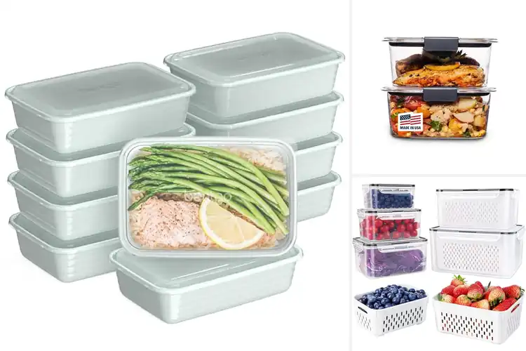 Detailed view of Best Dishwasher Safe Containers