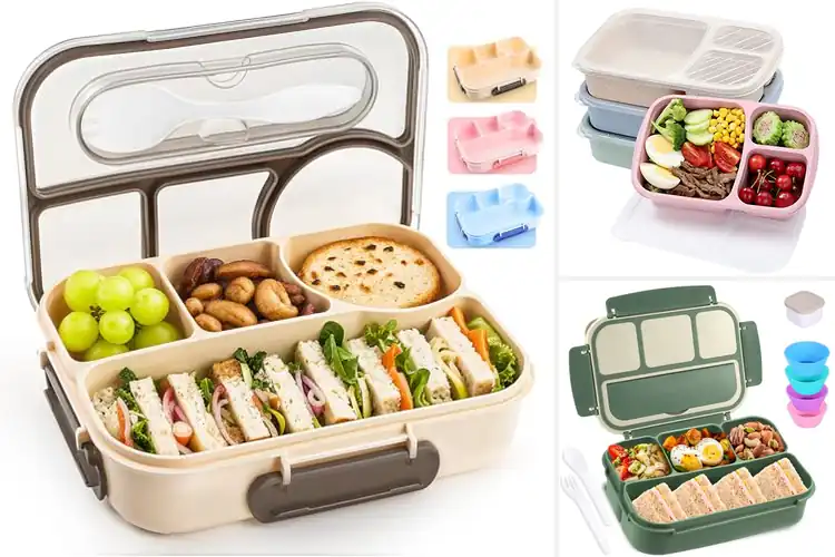 Detailed view of Best Dishwasher Safe Lunch Boxes
