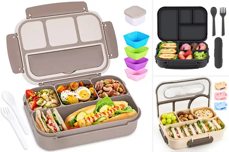 Detailed view of Best Leakproof Bento Boxes for Dry, Stress‑Free Meals