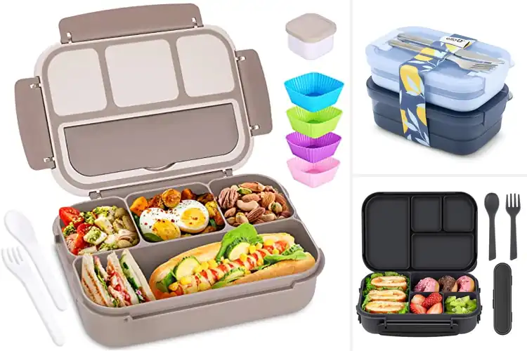 Detailed view of Best Leakproof Lunch Containers