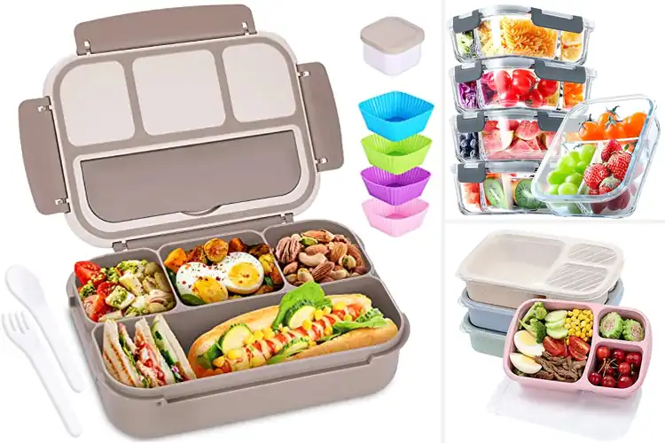 Detailed view of Best Lunch Boxes With Dividers