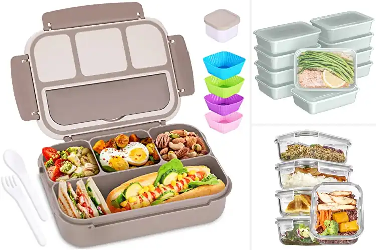 Detailed view of Best Lunch Containers