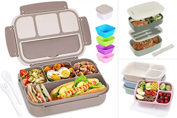 Detailed view of Best Microwavable Bento Boxes for Easy, Enjoyable Meals