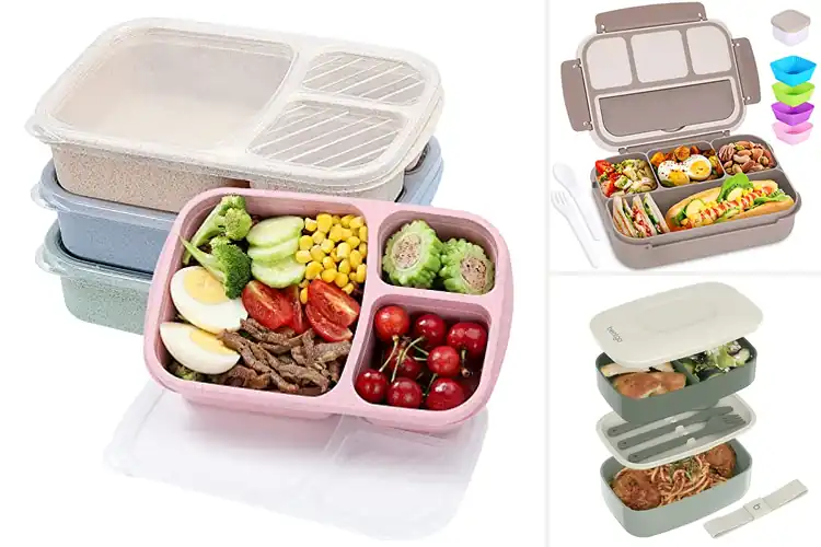 Detailed view of Best Microwave Safe Lunch Boxes